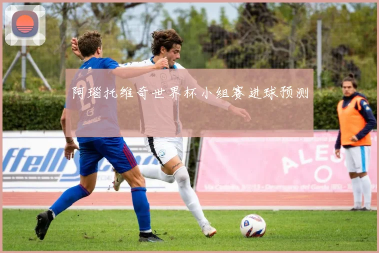 阿瑙托维奇世界杯小组赛进球预测