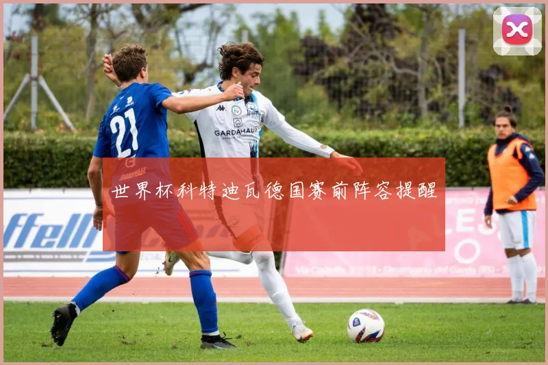 世界杯科特迪瓦德国赛前阵容提醒