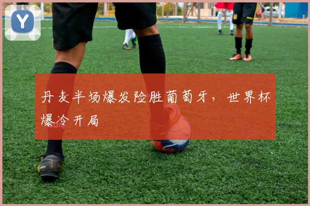 丹麦半场爆发险胜葡萄牙，世界杯爆冷开局