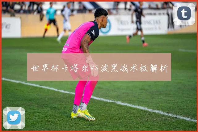 世界杯卡塔尔vs波黑战术板解析