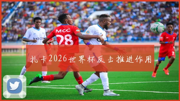 扎卡2026世界杯反击推进作用