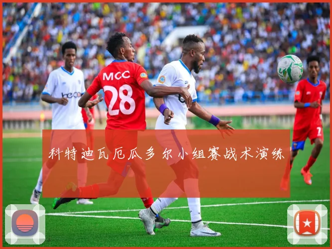 科特迪瓦厄瓜多尔小组赛战术演练