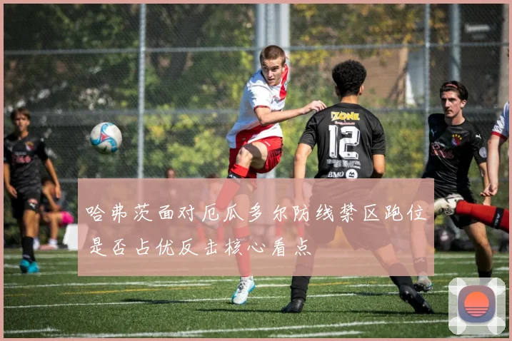 哈弗茨面对厄瓜多尔防线禁区跑位是否占优反击核心看点