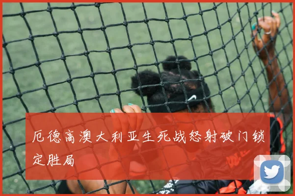 厄德高澳大利亚生死战怒射破门锁定胜局